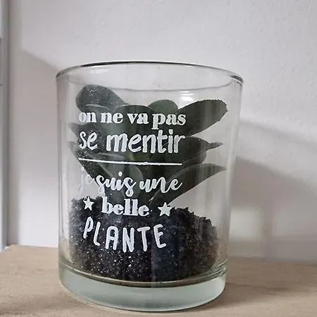 Cocon Sous Les Toits By Unsejouranancy Fr Lägenhet Nancy