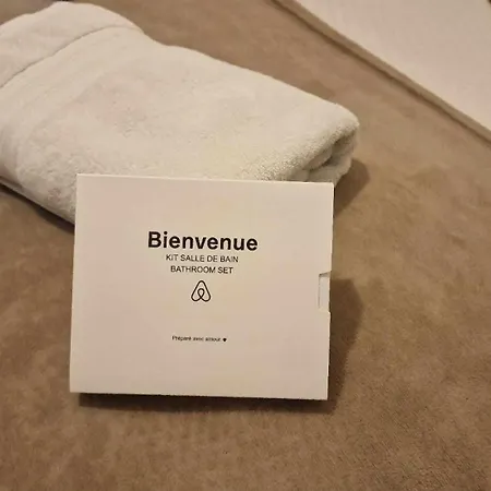 Cocon Sous Les Toits By Unsejouranancy Fr Lägenhet