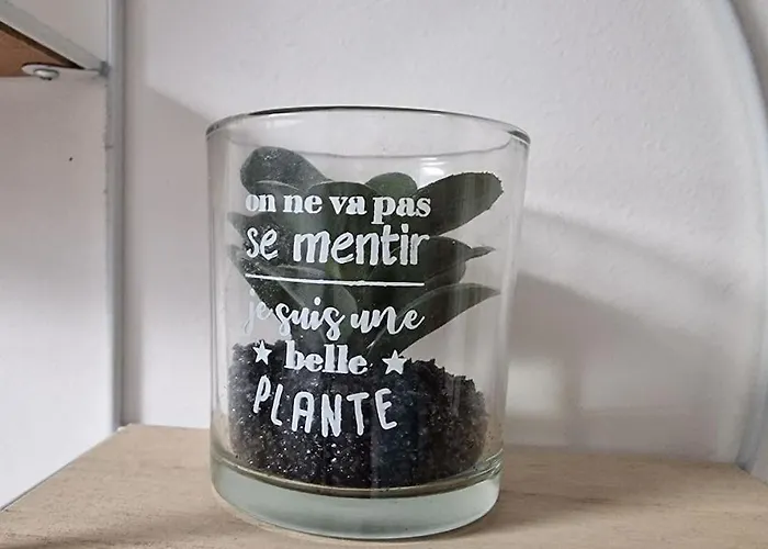 Cocon Sous Les Toits By Unsejouranancy Fr Lägenhet Nancy